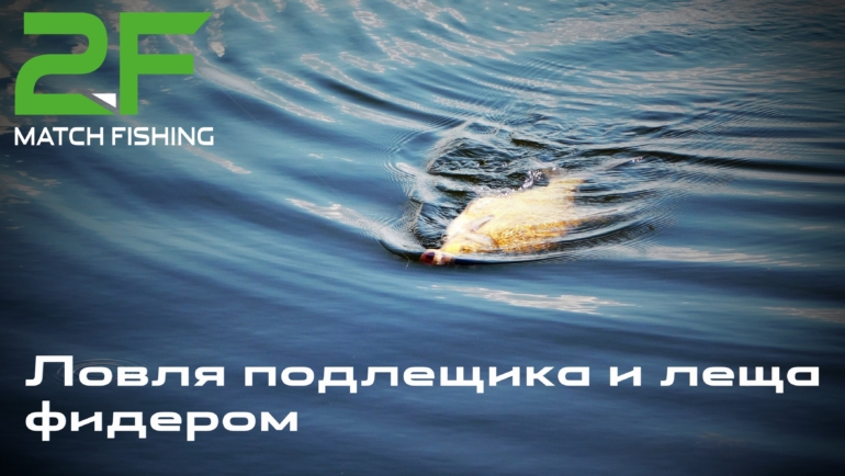 Ловля подлещика и леща фидером на озере Белое.